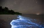 maldive-spiaggia-notte[1]